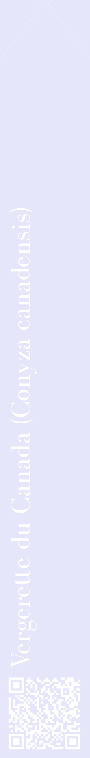 Étiquette de : Conyza canadensis - format c - style blanche55_simplebod avec qrcode et comestibilité