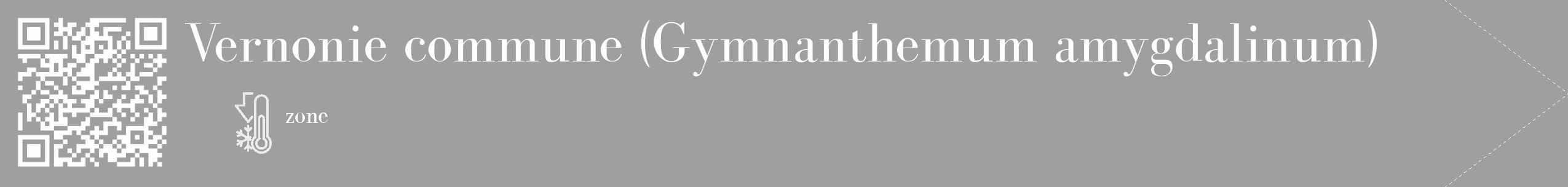 Étiquette de : Gymnanthemum amygdalinum - format c - style blanche24_simple_simplebod avec qrcode et comestibilité