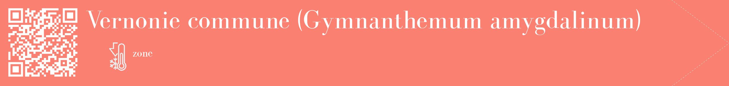 Étiquette de : Gymnanthemum amygdalinum - format c - style blanche38_simple_simplebod avec qrcode et comestibilité