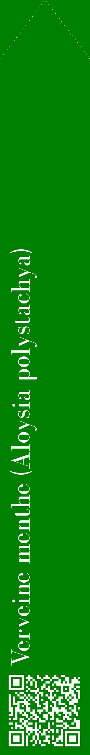 Étiquette de : Aloysia polystachya - format c - style blanche9_simplebod avec qrcode et comestibilité