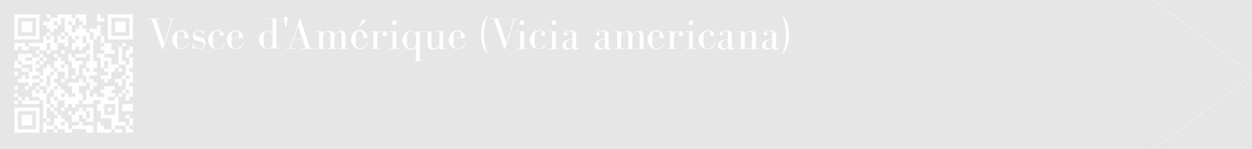 Étiquette de : Vicia americana - format c - style blanche18_simple_simplebod avec qrcode et comestibilité