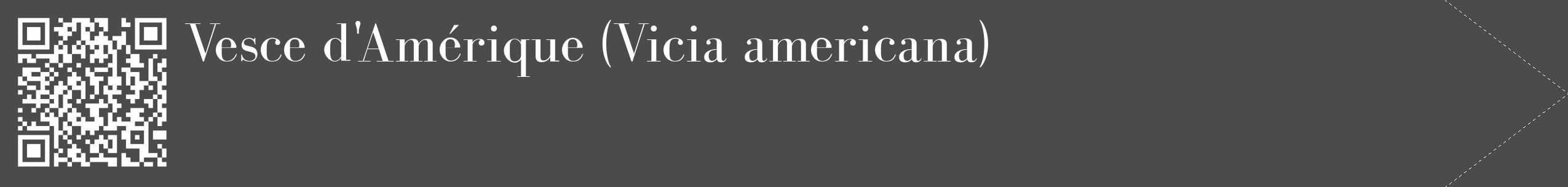 Étiquette de : Vicia americana - format c - style blanche9_simple_simplebod avec qrcode et comestibilité