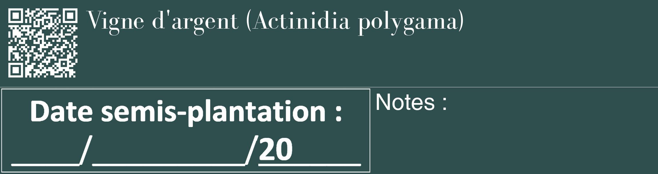 Étiquette de : Actinidia polygama - format c - style blanche58_basique_basiquebod avec qrcode et comestibilité