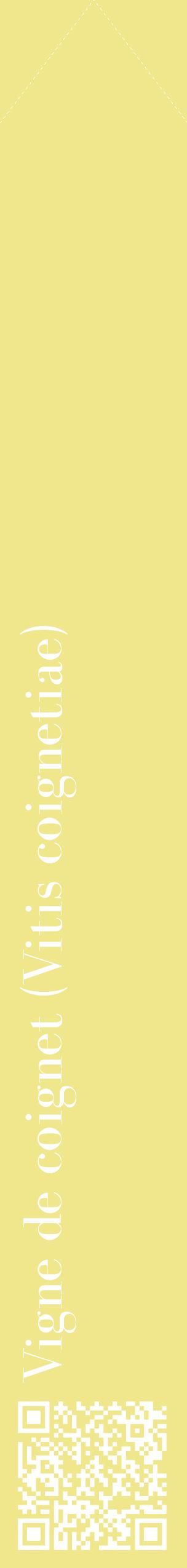 Étiquette de : Vitis coignetiae - format c - style blanche20_simplebod avec qrcode et comestibilité
