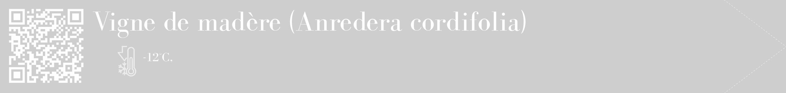 Étiquette de : Anredera cordifolia - format c - style blanche17_simple_simplebod avec qrcode et comestibilité