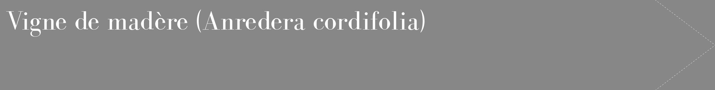Étiquette de : Anredera cordifolia - format c - style blanche12_simple_simplebod avec comestibilité