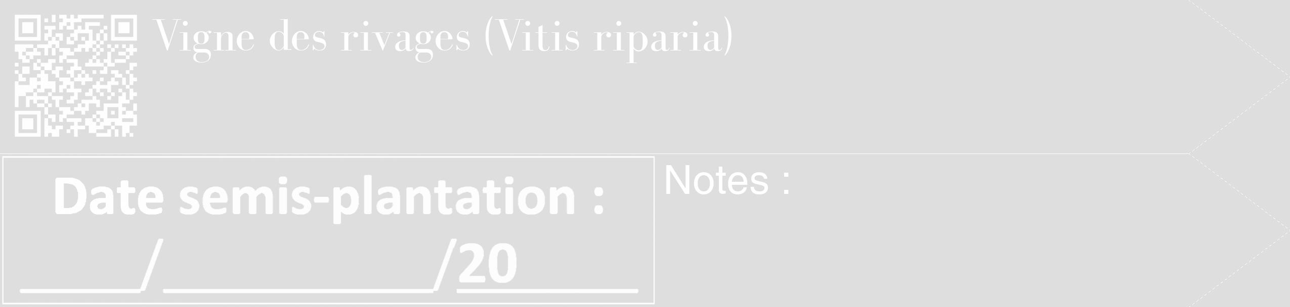 Étiquette de : Vitis riparia - format c - style blanche20_simple_simplebod avec qrcode et comestibilité