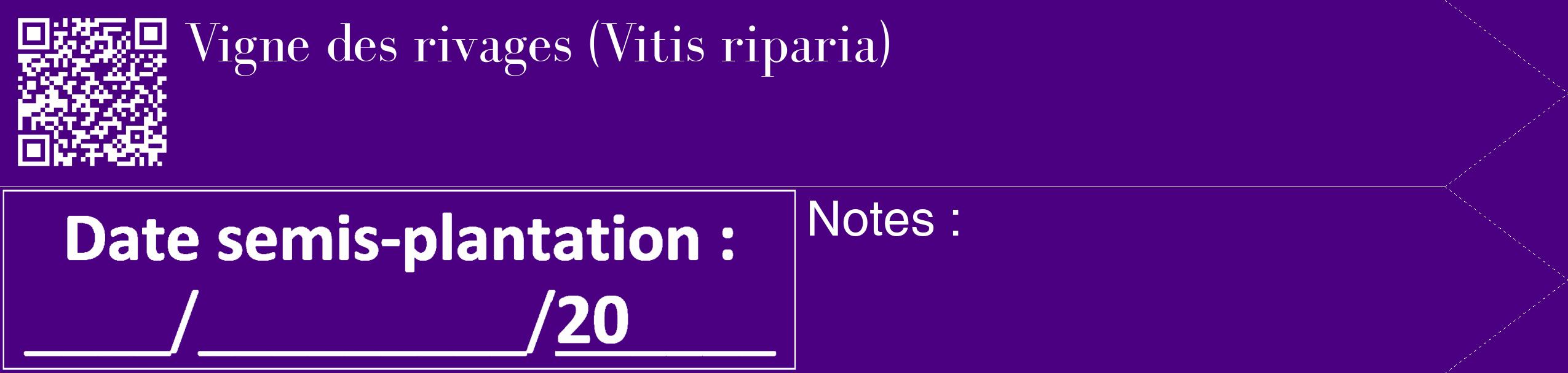 Étiquette de : Vitis riparia - format c - style blanche47_simple_simplebod avec qrcode et comestibilité