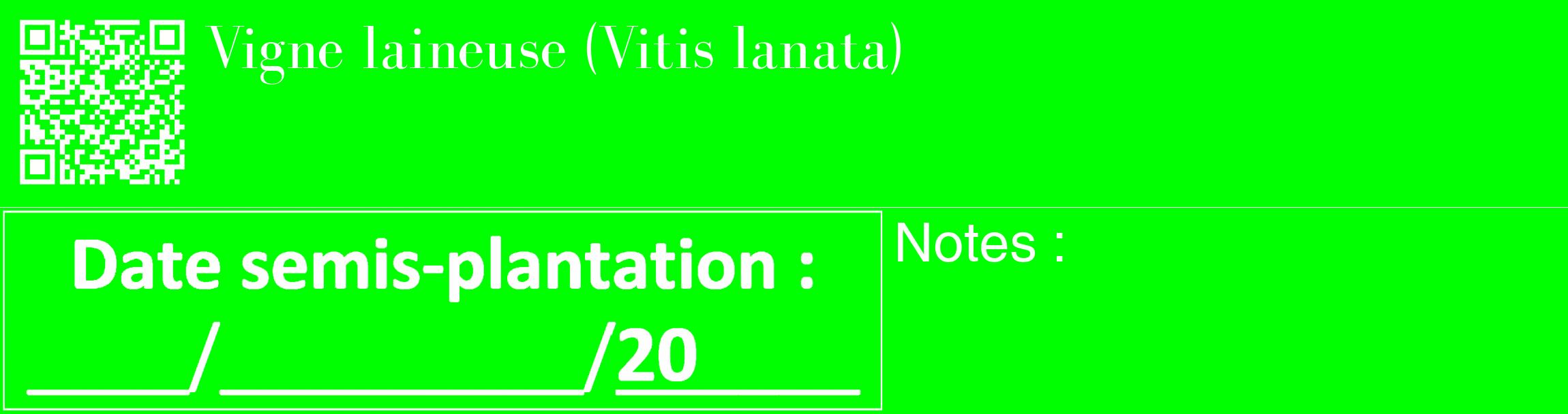 Étiquette de : Vitis lanata - format c - style blanche16_basique_basiquebod avec qrcode et comestibilité
