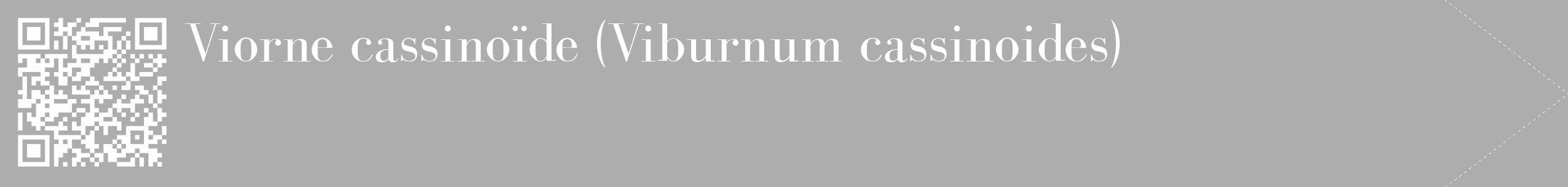 Étiquette de : Viburnum cassinoides - format c - style blanche22_simple_simplebod avec qrcode et comestibilité