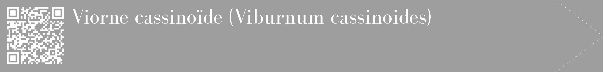 Étiquette de : Viburnum cassinoides - format c - style blanche23_simple_simplebod avec qrcode et comestibilité