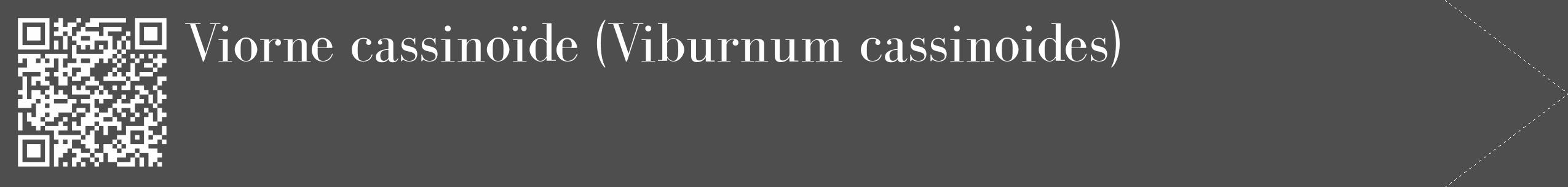 Étiquette de : Viburnum cassinoides - format c - style blanche33_simple_simplebod avec qrcode et comestibilité