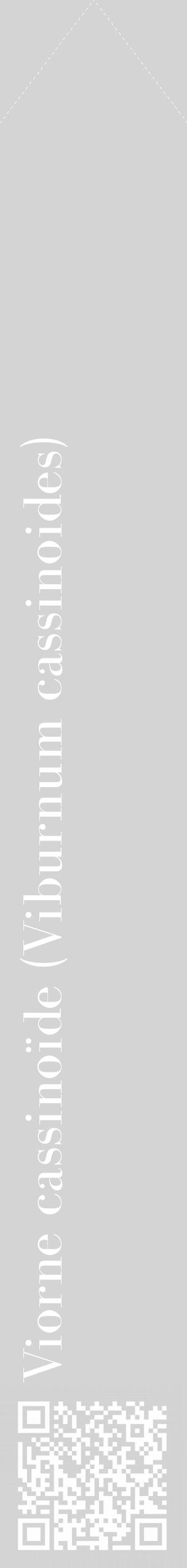 Étiquette de : Viburnum cassinoides - format c - style blanche40_simple_simplebod avec qrcode et comestibilité - position verticale