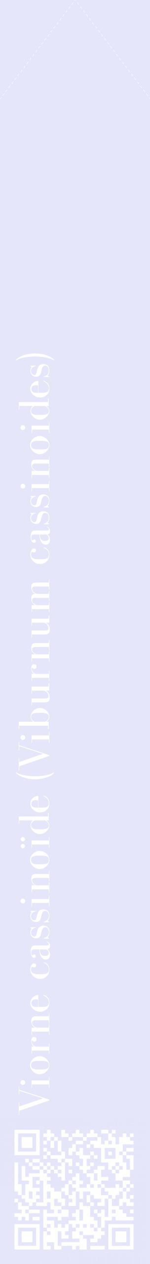 Étiquette de : Viburnum cassinoides - format c - style blanche55_simplebod avec qrcode et comestibilité