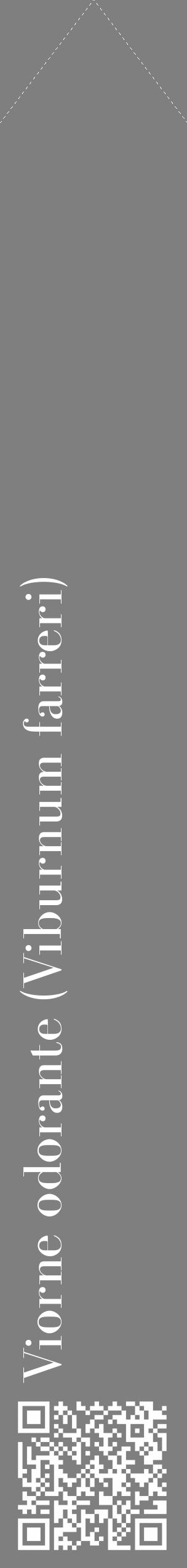Étiquette de : Viburnum farreri - format c - style blanche31_simple_simplebod avec qrcode et comestibilité - position verticale