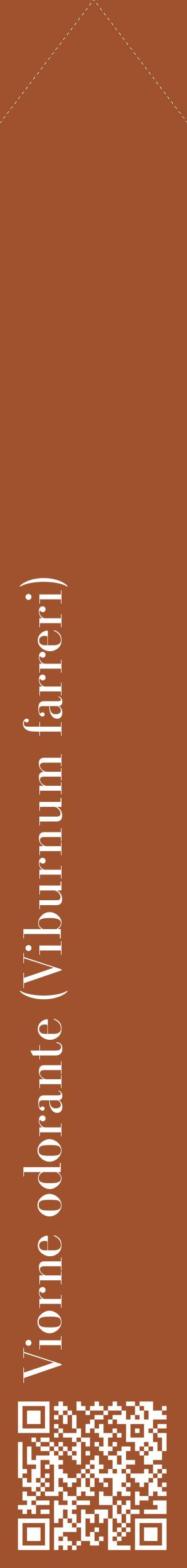 Étiquette de : Viburnum farreri - format c - style blanche32_simplebod avec qrcode et comestibilité