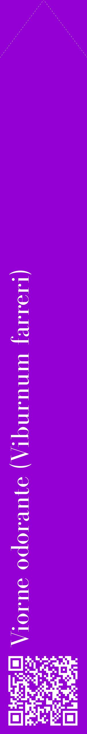 Étiquette de : Viburnum farreri - format c - style blanche48_simplebod avec qrcode et comestibilité