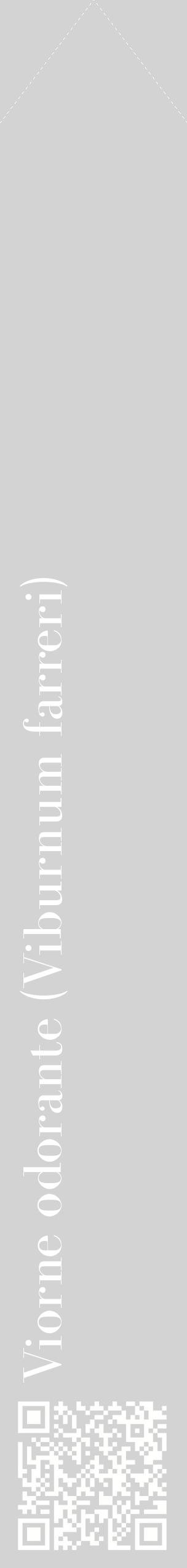 Étiquette de : Viburnum farreri - format c - style blanche56_simplebod avec qrcode et comestibilité