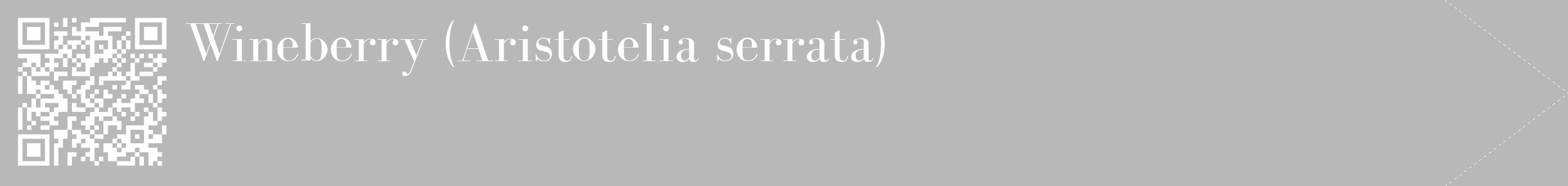 Étiquette de : Aristotelia serrata - format c - style blanche39_simple_simplebod avec qrcode et comestibilité