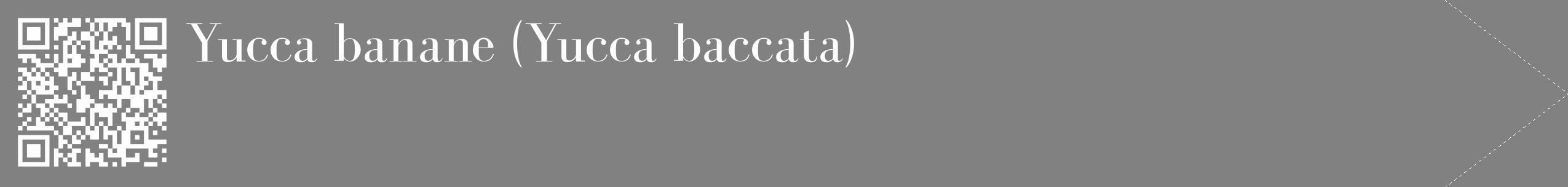 Étiquette de : Yucca baccata - format c - style blanche50_simple_simplebod avec qrcode et comestibilité