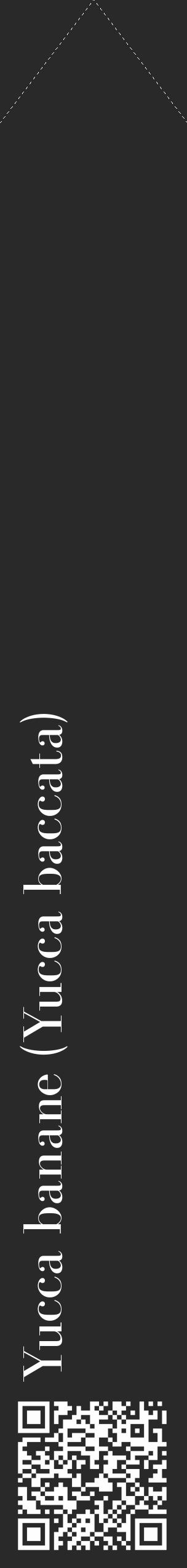 Étiquette de : Yucca baccata - format c - style blanche34_simple_simplebod avec qrcode et comestibilité - position verticale