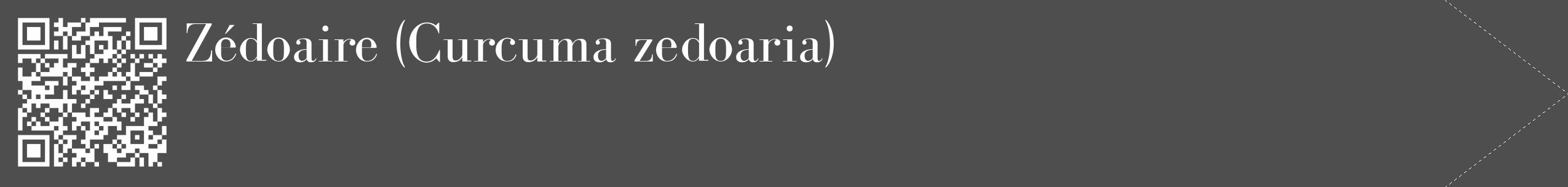 Étiquette de : Curcuma zedoaria - format c - style blanche33_simple_simplebod avec qrcode et comestibilité