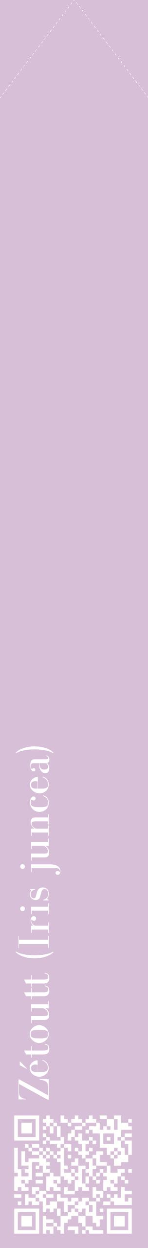 Étiquette de : Iris juncea - format c - style blanche54_simplebod avec qrcode et comestibilité