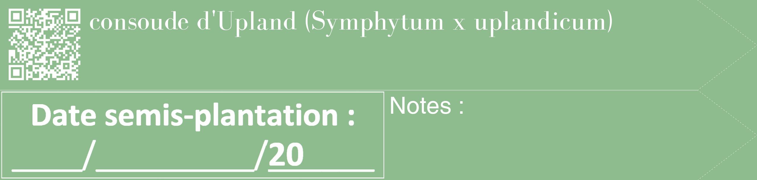 Étiquette de : Symphytum x uplandicum - format c - style blanche13_simple_simplebod avec qrcode et comestibilité