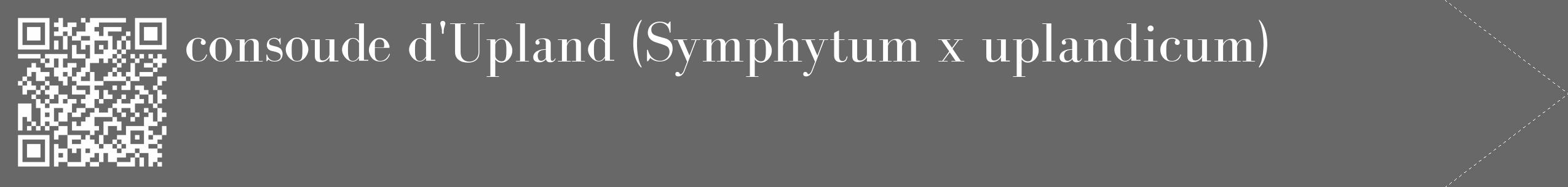 Étiquette de : Symphytum x uplandicum - format c - style blanche6_simple_simplebod avec qrcode et comestibilité