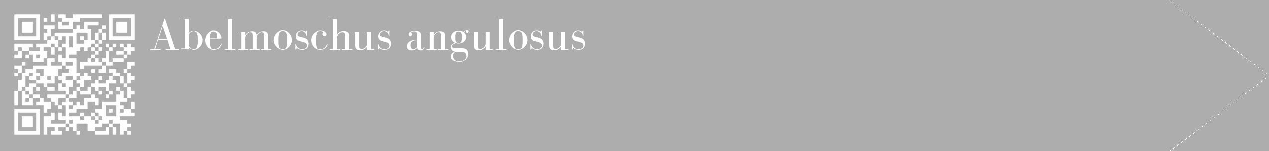 Étiquette de : Abelmoschus angulosus - format c - style blanche22_simple_simplebod avec qrcode et comestibilité