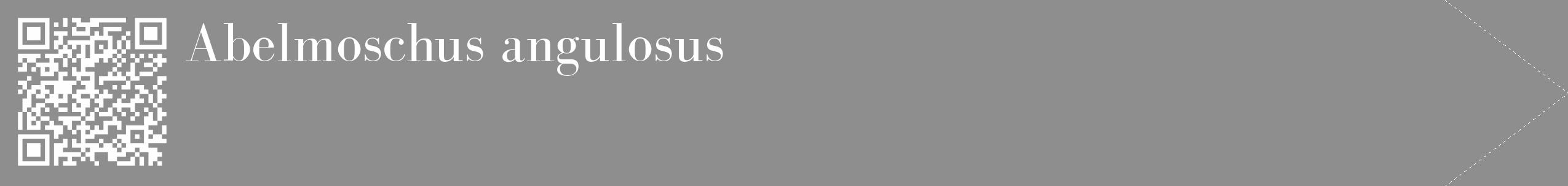 Étiquette de : Abelmoschus angulosus - format c - style blanche25_simple_simplebod avec qrcode et comestibilité