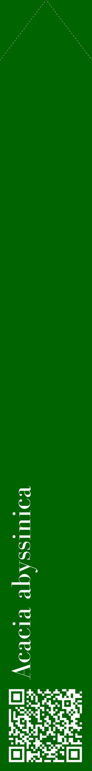 Étiquette de : Acacia abyssinica - format c - style blanche8_simplebod avec qrcode et comestibilité