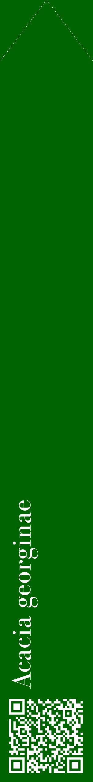 Étiquette de : Acacia georginae - format c - style blanche8_simplebod avec qrcode et comestibilité