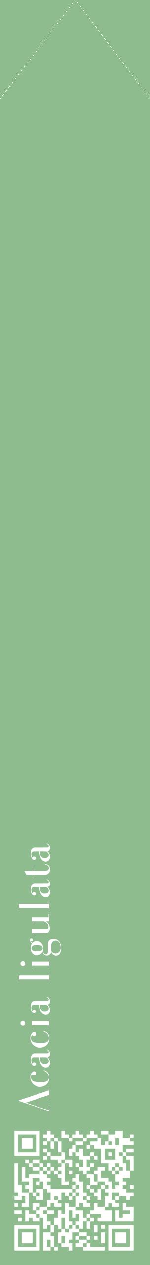 Étiquette de : Acacia ligulata - format c - style blanche13_simplebod avec qrcode et comestibilité