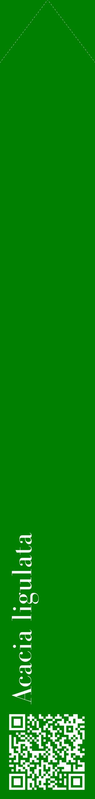 Étiquette de : Acacia ligulata - format c - style blanche9_simplebod avec qrcode et comestibilité