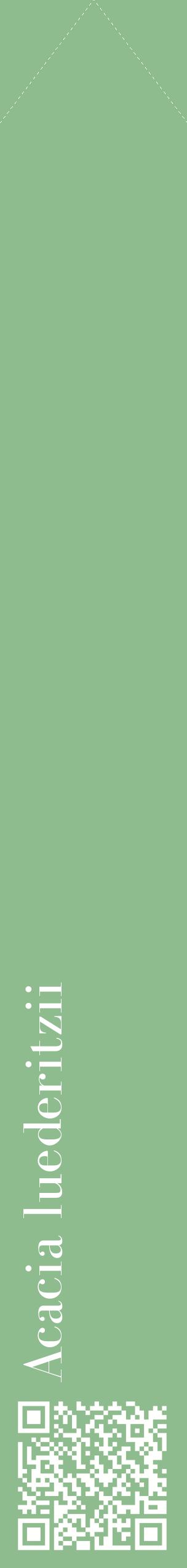 Étiquette de : Acacia luederitzii - format c - style blanche13_simplebod avec qrcode et comestibilité