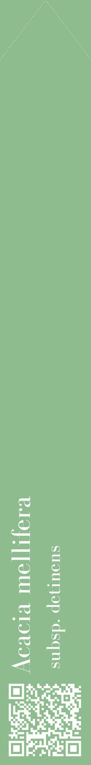 Étiquette de : Acacia mellifera subsp. detinens - format c - style blanche13_simplebod avec qrcode et comestibilité