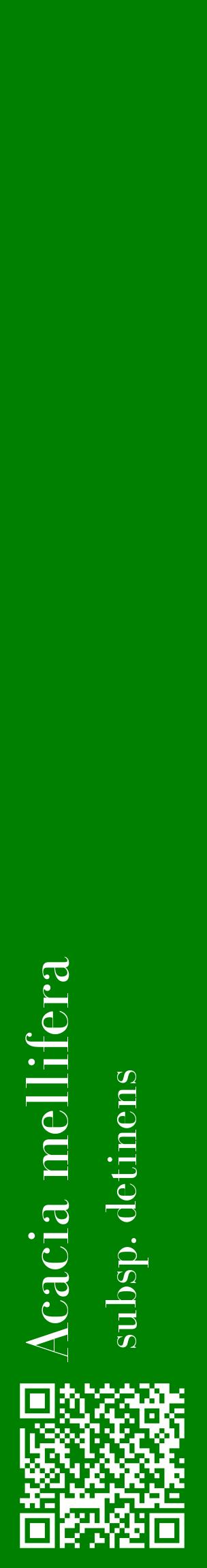 Étiquette de : Acacia mellifera subsp. detinens - format c - style blanche9_basiquebod avec qrcode et comestibilité