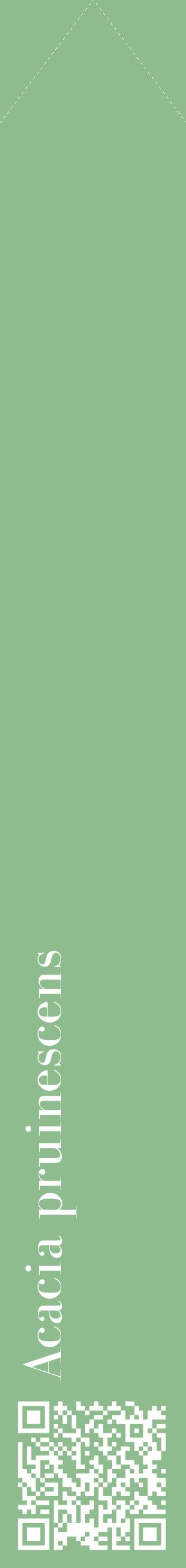 Étiquette de : Acacia pruinescens - format c - style blanche13_simplebod avec qrcode et comestibilité