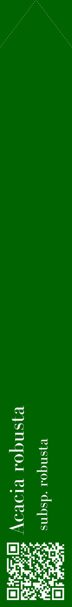 Étiquette de : Acacia robusta subsp. robusta - format c - style blanche8_simplebod avec qrcode et comestibilité