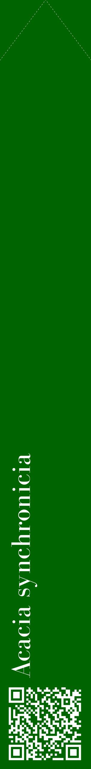 Étiquette de : Acacia synchronicia - format c - style blanche8_simplebod avec qrcode et comestibilité