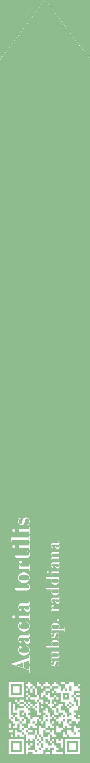 Étiquette de : Acacia tortilis subsp. raddiana - format c - style blanche13_simplebod avec qrcode et comestibilité