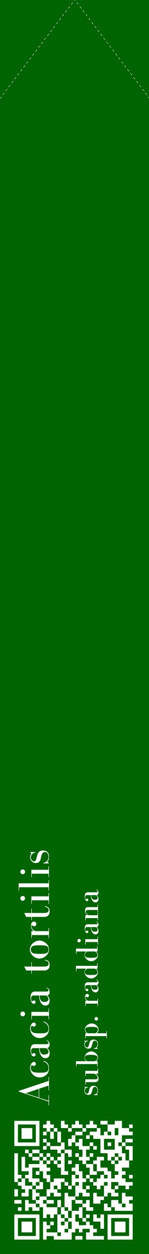 Étiquette de : Acacia tortilis subsp. raddiana - format c - style blanche8_simplebod avec qrcode et comestibilité