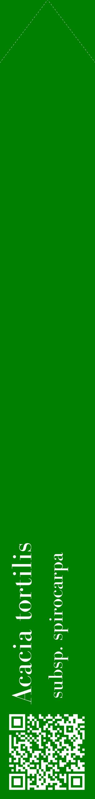 Étiquette de : Acacia tortilis subsp. spirocarpa - format c - style blanche9_simplebod avec qrcode et comestibilité