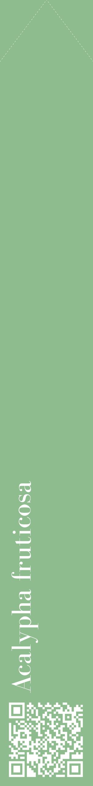Étiquette de : Acalypha fruticosa - format c - style blanche13_simplebod avec qrcode et comestibilité