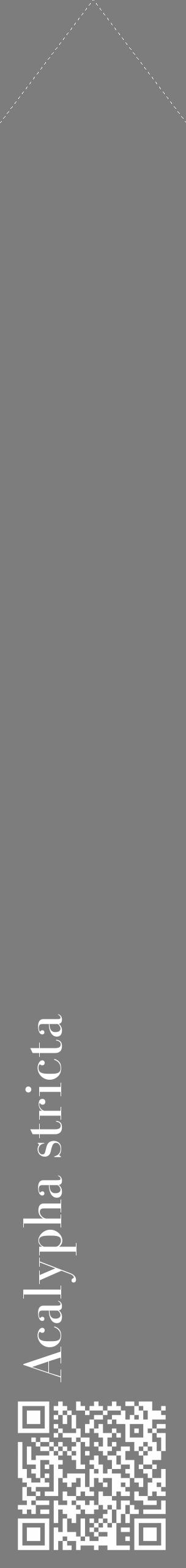 Étiquette de : Acalypha stricta - format c - style blanche35_simple_simplebod avec qrcode et comestibilité - position verticale