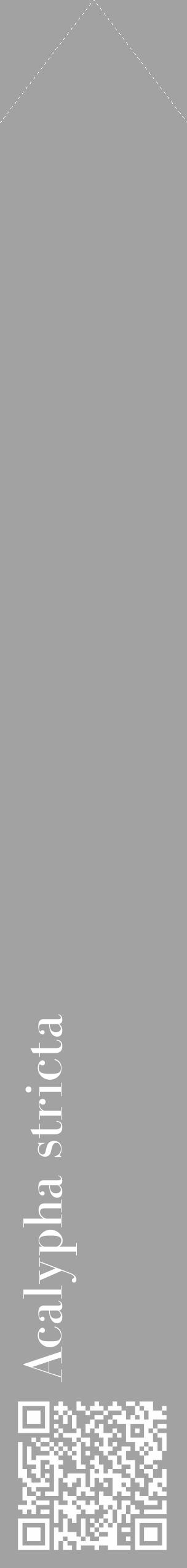 Étiquette de : Acalypha stricta - format c - style blanche38_simple_simplebod avec qrcode et comestibilité - position verticale