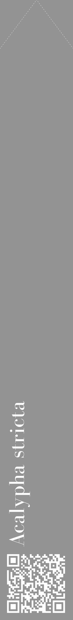 Étiquette de : Acalypha stricta - format c - style blanche44_simple_simplebod avec qrcode et comestibilité - position verticale