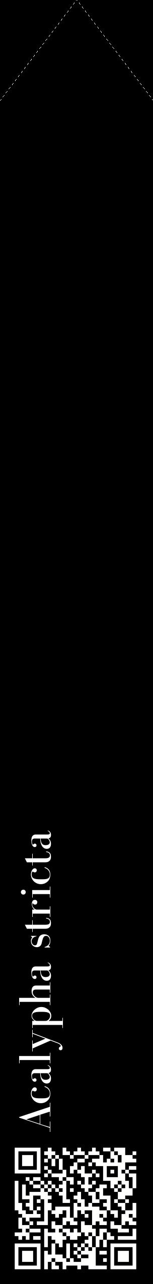Étiquette de : Acalypha stricta - format c - style blanche59_simplebod avec qrcode et comestibilité