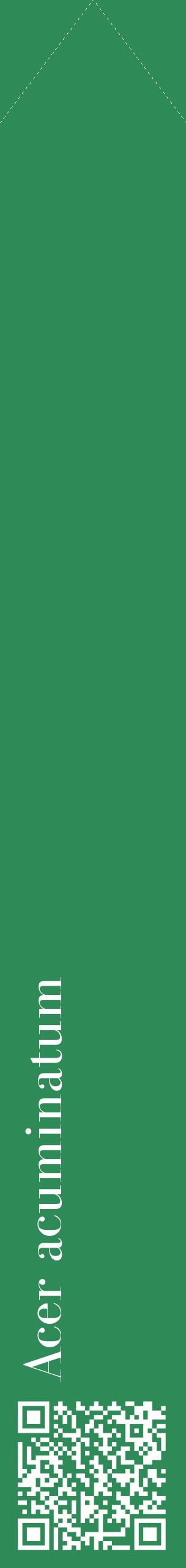 Étiquette de : Acer acuminatum - format c - style blanche11_simplebod avec qrcode et comestibilité
